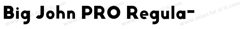 Big John PRO Regula字体转换